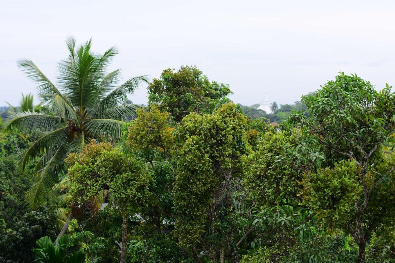 Heritage Eco Resort Kelaniya Exterior photo