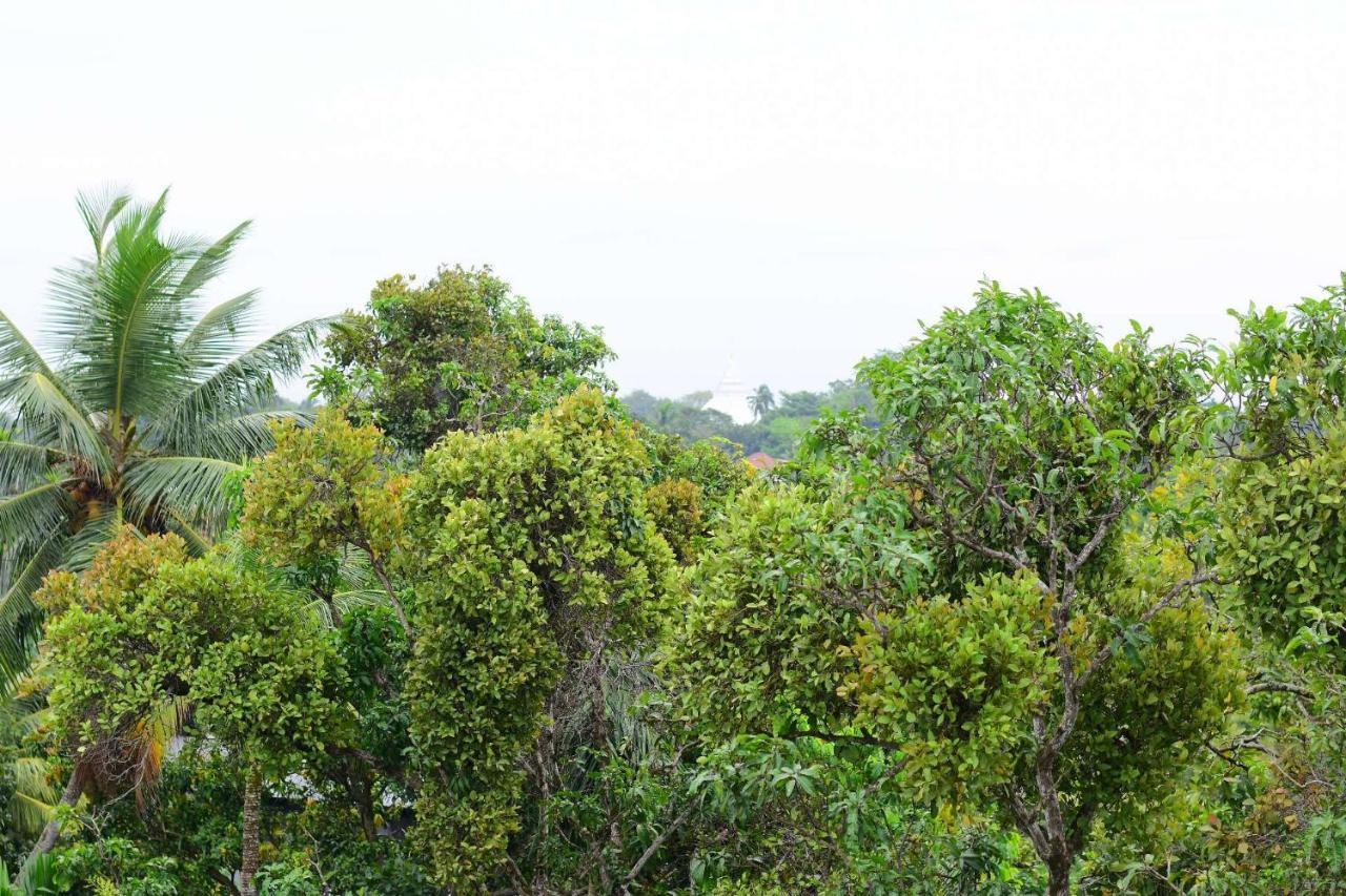 Heritage Eco Resort Kelaniya Exterior photo